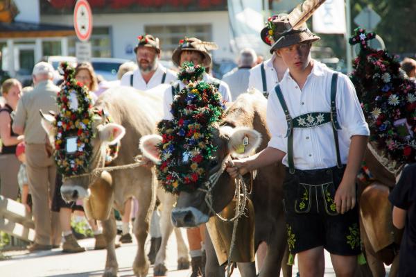 allgaeu_2 unterkunft bei kempten