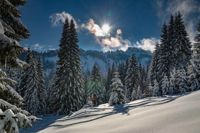 ferienwohnung oberallgäu
